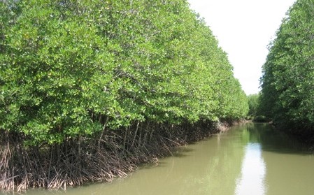 Weltbank unterstützt Vietnam beim Kampf gegen den Klimawandel