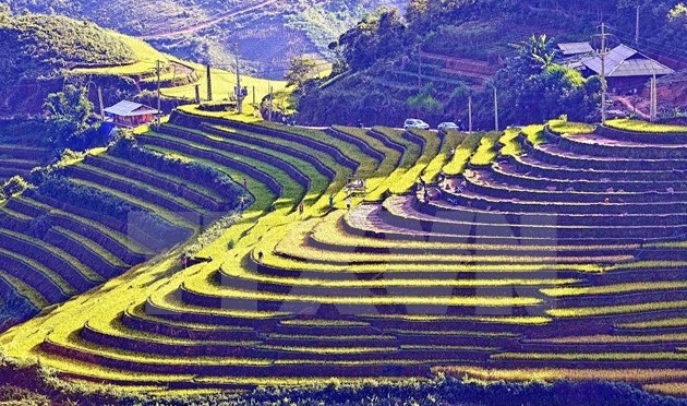 Kultur-Tourismuswoche über Reisterassen in Mu Cang Chai