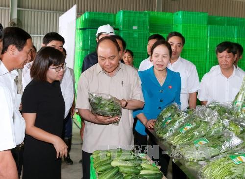 Premierminister Nguyen Xuan Phuc trifft Wähler in der Hafenstadt Hai Phong