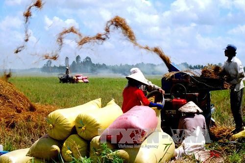 Wähler bewerten die Maßnahmen zur nachhaltigen landwirtschaftlichen Entwicklung positiv