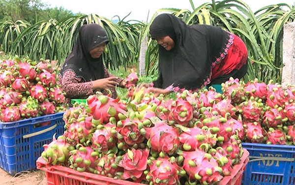 Änderungen im Dorf Cham in Dong Nai