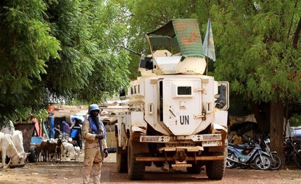 Vietnam und UN-Sicherheitsrat: Vietnam hebt den Schutz des Volkes bei der Lösung der Herausforderung in Mali hervor