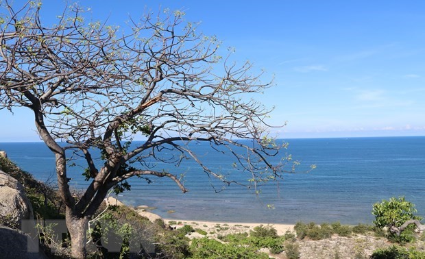 Das Weltbiosphärenreservat Nui Chua – Ein attraktives Reiseziel in Vietnam