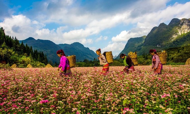 Tourismusmarke von Ha Giang aufbauen