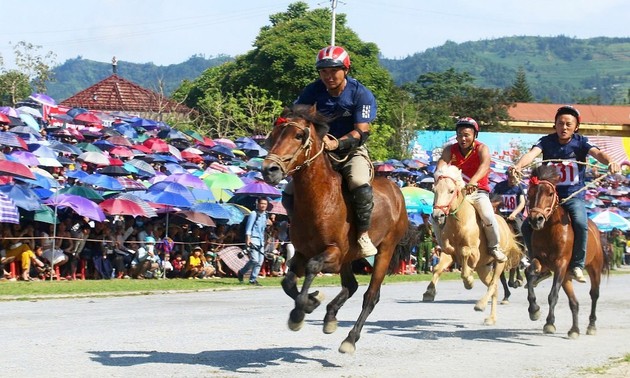 Das traditionelle Pferderennen findet im Juni auf dem Plateau Bac Ha statt