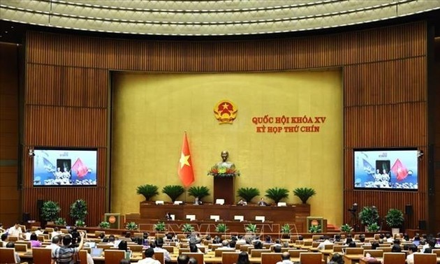 Beteiligung an UN-Friedensmissionen trägt zur Erhöhung der Position Vietnams auf der Weltbühne bei