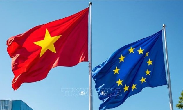 Vertrauen in gute Perspektive der Beziehungen zwischen Vietnam und der EU