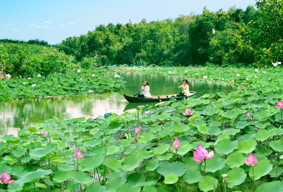 Du lotus à la réalité…   