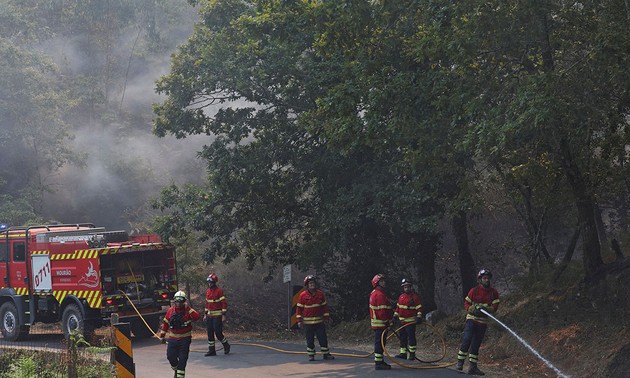 Phénomènes météorologiques extrêmes: de l’Asie à l’Europe, la planète sous tension climatique