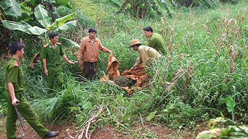 Công bố Chiến lược quốc gia phòng chống ma túy, tội phạm và mua bán người