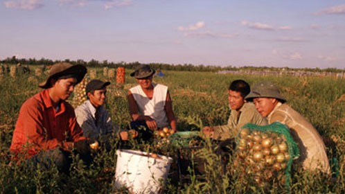 Volga Việt - Nông trại của người Việt trên đất Nga