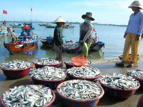 Khai thác bền vững nguồn lợi hải sản Việt Nam