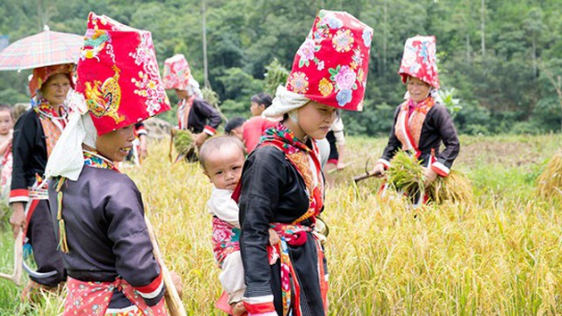 Menyelipkan gender dalam Program target perkembangan daerah etnis minoritas