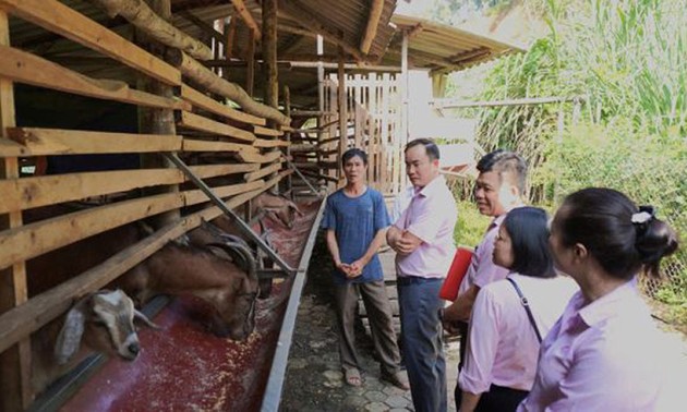 Modal Kebijakan – Kunci untuk Mengentas dari Kemiskinan di Provinsi Thai Nguyen