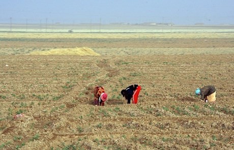 Syria joins Paris Agreement on climate change