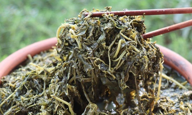 Pickled Cassava Leaves, a specialty of the Red Dao ethnic people