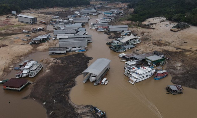 Amazon River falls to lowest in over a century amid Brazil drought