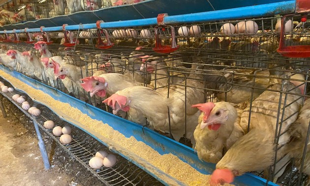 Turning waste into worth: Small changes, big impact