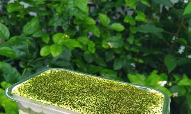 A fresh take on dessert: Keto-friendly matcha tiramisu