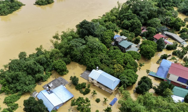 When code meets compassion: A lifeline in times of disaster