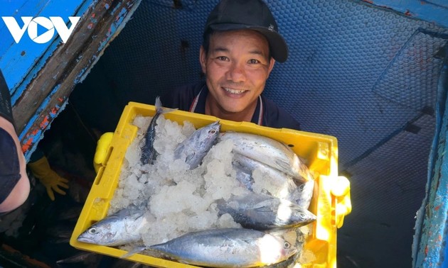 Gia Lai fishermen embrace digital transformation for fishing transparency 