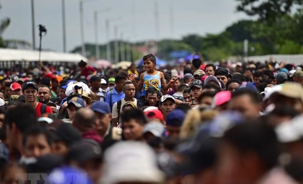 AS menangkap ratusan migran ilegal