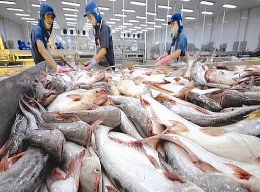 Tarif anti-dumping terhadap ikan patin dari Vietnam ke AS turun