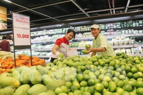 Konektivitas produksi dan pemasaran hasil pertanian di zona ekonomi Selatan