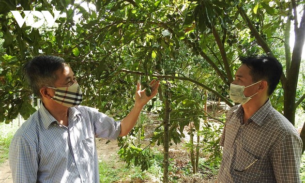 Koperasi di Provinsi Kon Tum: Solidaritas dan Kreativitas untuk Atasi Kesulitan Akibat Wabah Covid-19