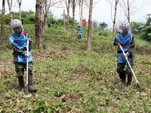 Delegation der Organisation Peace Trees Vietnam besucht Vietnam