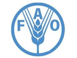 FAO-Konferenz: verstärkte Nahrungsmittelsicherheit und Armutsbekämpfung