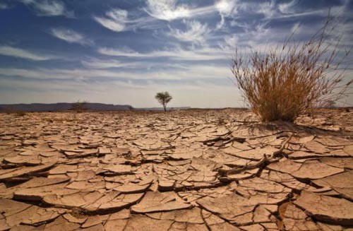 Vietnam braucht einheitliche Maßnahmen beim Kampf gegen den Klimawandel