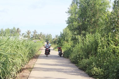 Positive Änderung in der Provinz Soc Trang