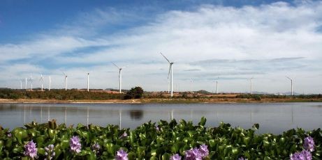 Tran Thanh Thanh engagiert sich für Stromerzeugung durch die Windkraft 