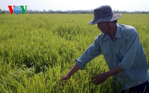 Unternehmen wollen Neugestaltung ländlicher Räume unterstützen