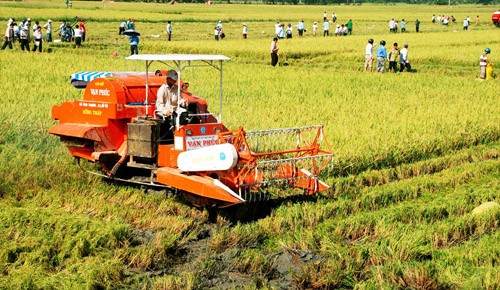 Umstrukturierung der Landwirtschaft in Vietnam für die Weiterentwicklung