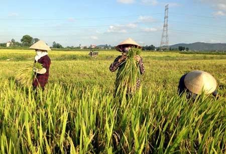 Neugestaltung ländlicher Räume in Quang Ninh ist fast fertig gestellt