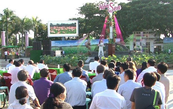 Lotusblumenfest in Dong Thap