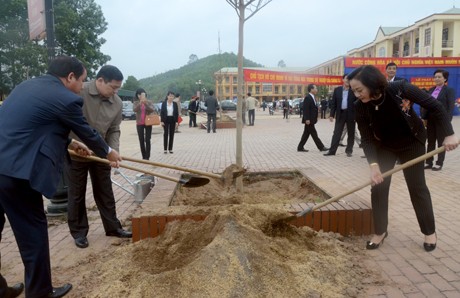 Baumanpflanzfest in Yen Bai