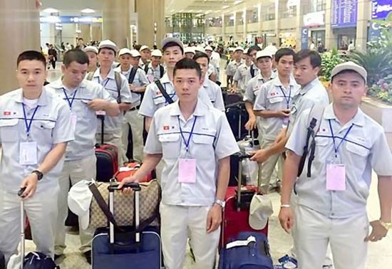 Internationale Arbeitsorganisation in Vietnam ruft zur Gewährleistung der sicheren Arbeitsmigration