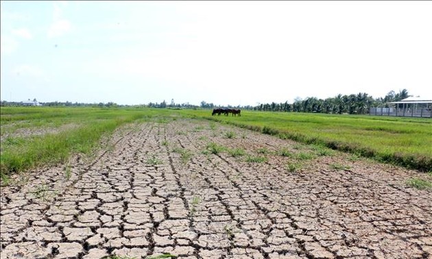 Hilfsgelder im Wert von 20,5 Millionen Euro für acht Provinzen im Mekong-Delta