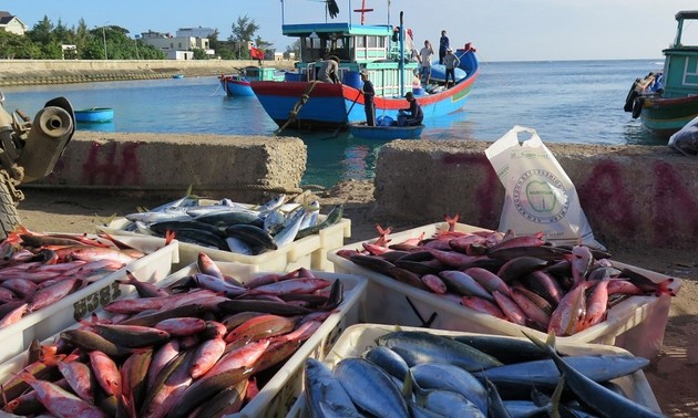 Fischfrikadelle auf Ly Son