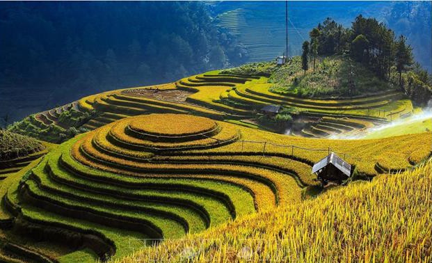 Viele einzigartige Veranstaltungen beim Festival zur Entdeckung der Terrassenfelder Mu Cang Chai