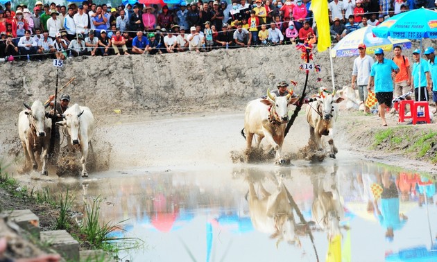 Kuhrennen-Fest Bay Nui in An Giang