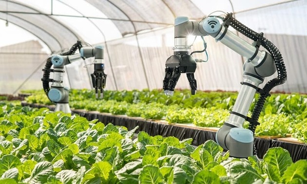 Erfahrungsaustausch in der intelligenten Landwirtschaft zwischen Vietnam und Australien