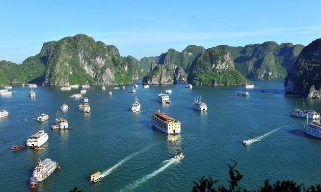 Das erste Karnevalsfestival auf See in Vietnam