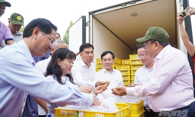 Aufbau der Marke für Früchte des Mekong-Deltas