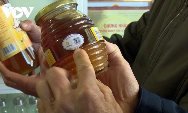 Bienenzucht nach Produktionskette bringt Imkern in Phong Lai in Son La wohlhabendes Leben