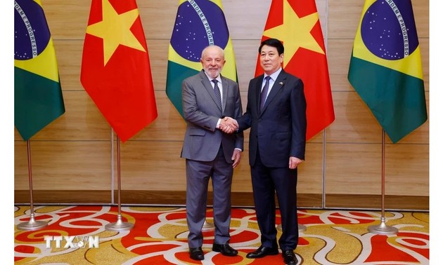 Potenziale und Möglichkeiten der Zusammenarbeit zwischen Vietnam und Brasilien werden bald verwirklicht