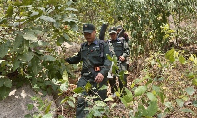 Vietnam gilt in der EU-Entwaldungsverordnung als Land mit geringem Risiko